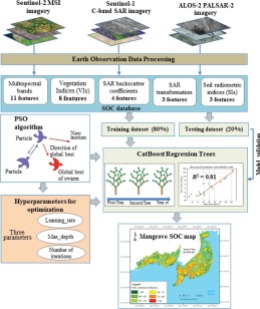 SOC (Soil Organic Carbon) Mangrove Estimation from Sentinel - 1, Sentinel - 2, ALOS - 2 PALSAR - 2, Machine Learning (CatBoost) and Metaheuristic Optimization (PSO)